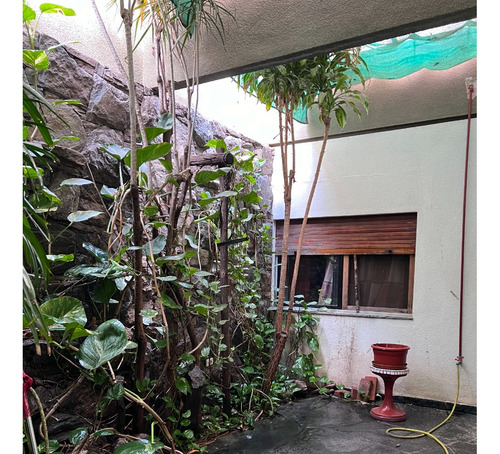 Oportunidad Local Y Casa En Av. Alem