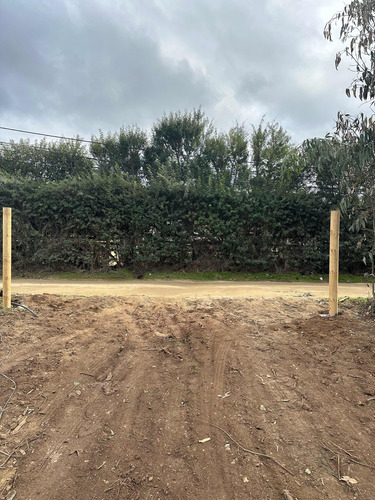 Terrenos 5.000mts2 Rol Propio Limache Sector Los Laureles