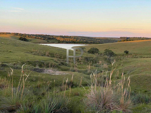 Imagen 3 de 13 de Campo En Venta Garzon 8 Has #1698