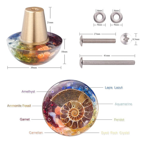 Sunyik 4pcs 7 Chakra Ammonite Fossil Pierras Cajas Con Canti