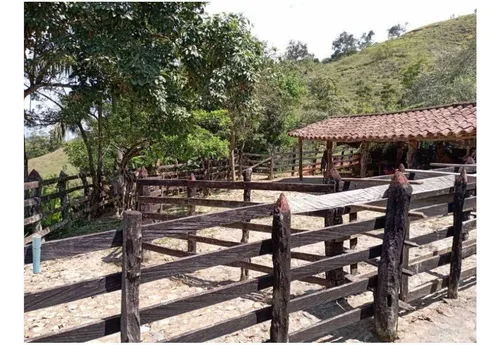 Vendo Finca De 30 Cuadras En Damasco Para Ganadería Cerca La Pintada
