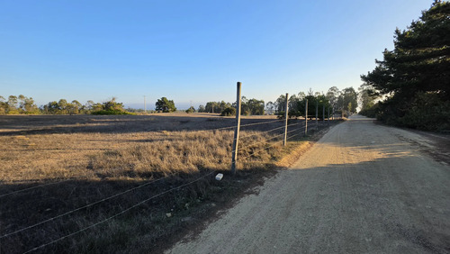 Parcelas Planas En Algarrobo Norte En Condominio Consolidado
