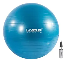 Comprar Pelota De Pilates Fitball 55cm Yoga Fitness Gym Livepro
