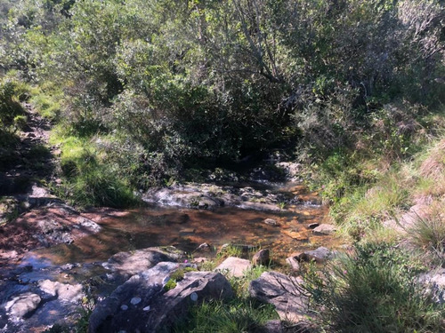 Venta De Chacra En Pueblo Edén, Ruta 12