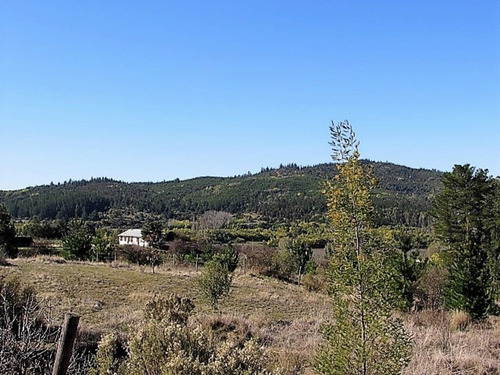 Cauquenes Camino A Chanco, M-50 / 4 Hectáreas (70070)
