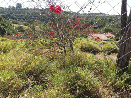 Imagem 6 de 6 de Chácara Residêncial A Venda Em Vinhedo/sp. - Ch00019 - 67743333