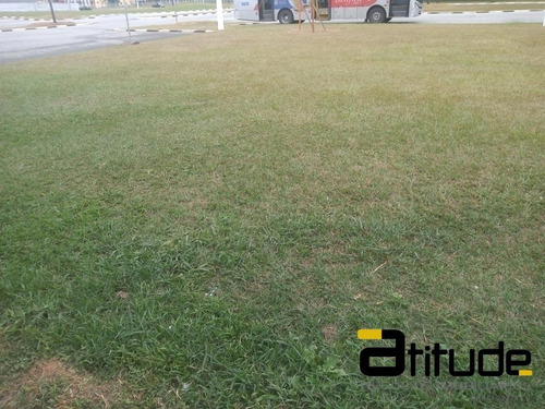 Imagem 4 de 7 de Terreno Comercial Em Barueri, Bethaville Com 250m2. - 4204