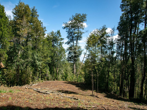 Inmersas En Bosque, Con Orilla De Rio Y Vista Al Lago.