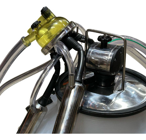Ordenhadeira Móvel Inox Motor A Gasolina Com 1 Cjt Acoplado