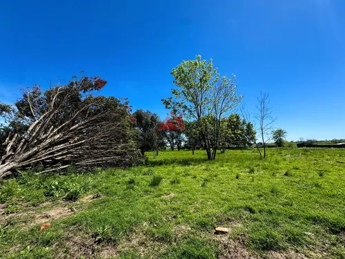 Terreno Lote En Venta En El Tilbury, Pilara, Pilar