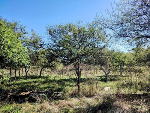 Imagen 7 de 8 de Terreno En Gualeguaychu