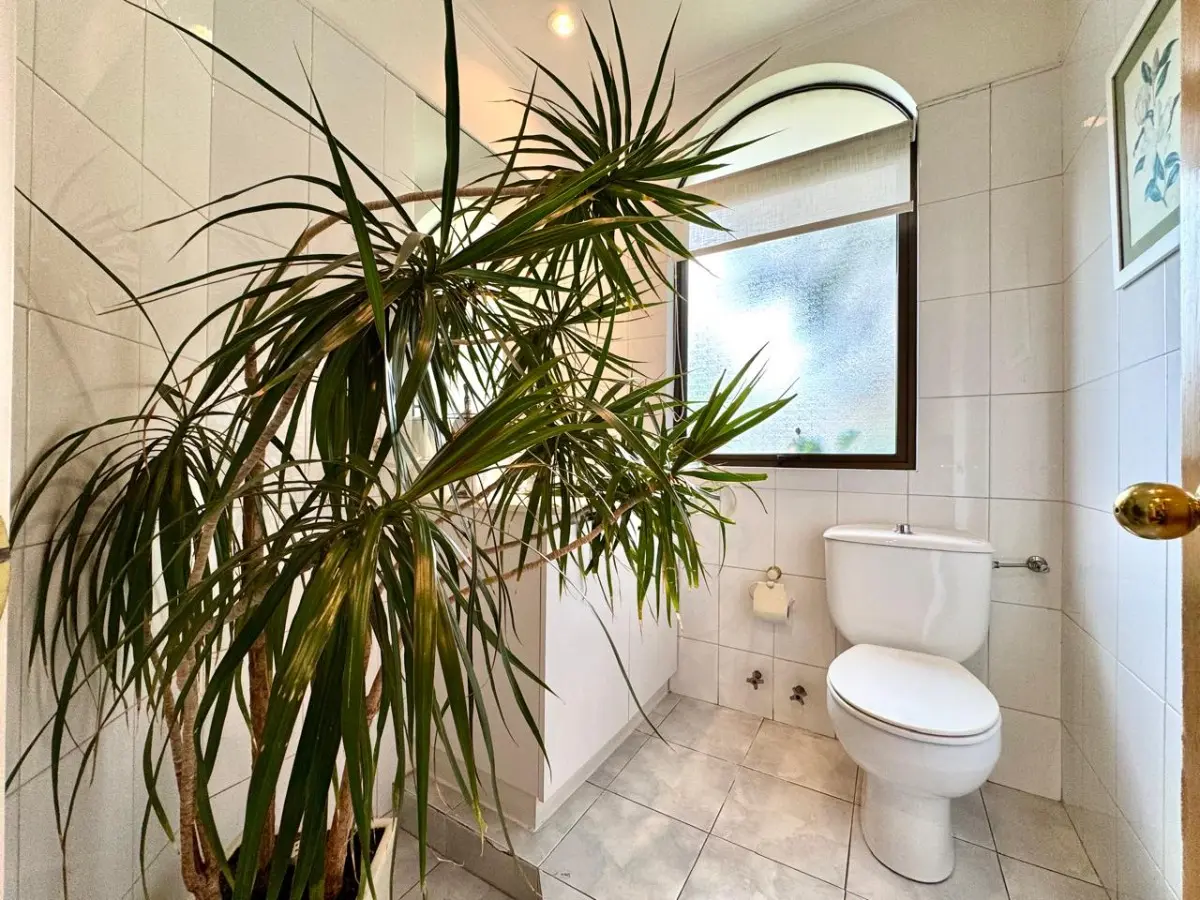 Imagen 3 de 30 de Casa En Los Domínicos I Impecable I Buen Terreno
