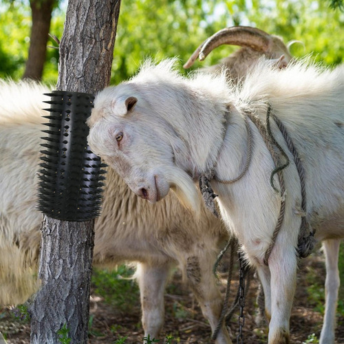 Cepillos De Vaca Para Rascar Cepillo Para Rascar Ganado Cepi