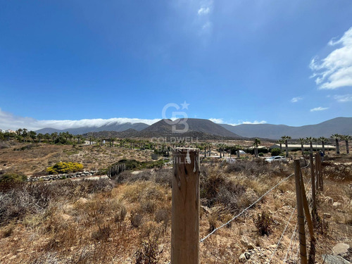 Terreno En Las Tacas Para Desarrollo 6.000m2