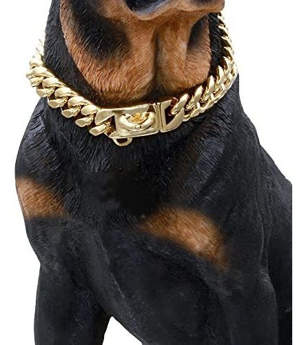 Baobote Collar De Cadena De Oro Para Perros Con F626l