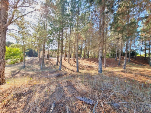 Imagen 3 de 11 de Lindo Terreno En Venta - Barrio Ecuestre De Costa Esmeralda