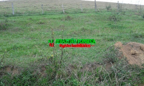 Imagem 10 de 15 de Fazenda Em Santa Branca 125 Alqueires - 805