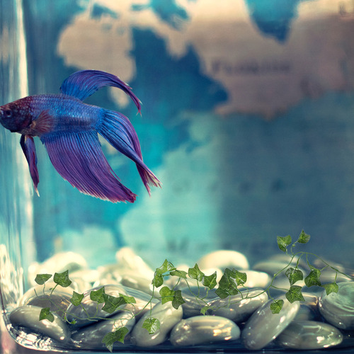 Nuevo Material De Plantas Artificiales Para Reptiles, 8
