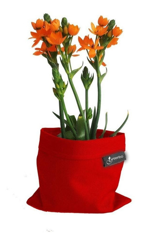 Imagen 3 de 6 de Cubre Maceta Greenbo Florina Varios Colores Dale Estilo