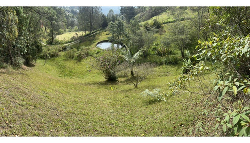 Venta Finca Vereda Barro Blanco Santa Elena Medellín