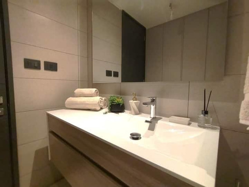 Arriendo Departamento Amoblado Exclusivo Sector Providencia