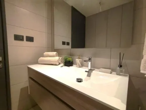 Arriendo Departamento Amoblado Exclusivo Sector Providencia