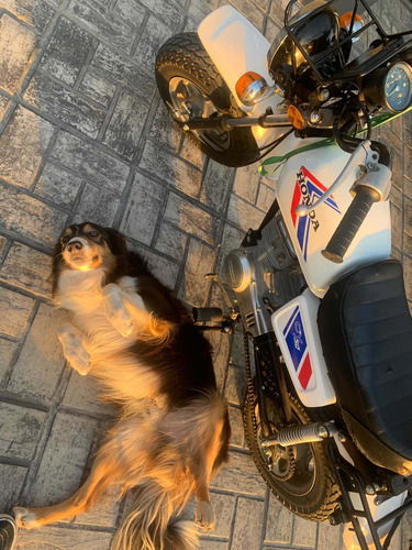 Imagen 7 de 7 de Honda Cy 50 Cc (no Dax, No Monkey, No Nauty Dax, No Rv)