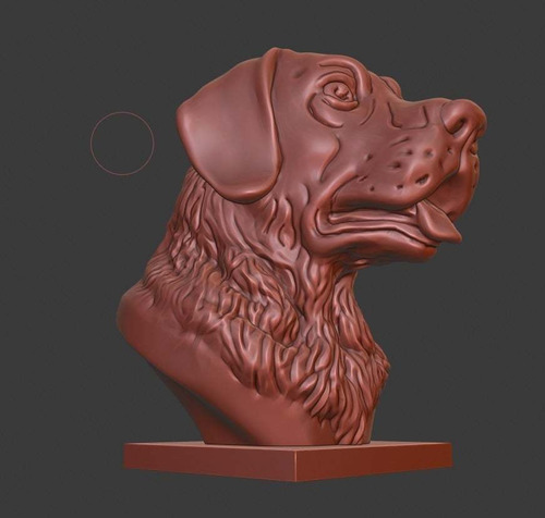 Busto De Labrador Retriever Cabeza De Pe- Figura Plastica