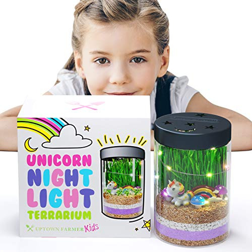 Kit De Linterna Unicornio Para Niños Con Luces De 6z4bo