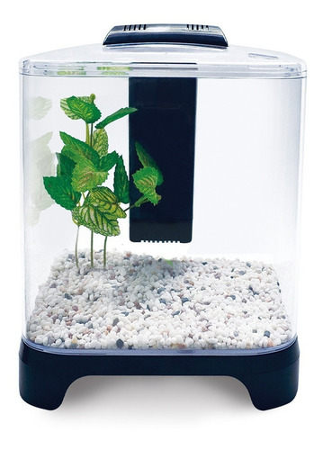 Imagen 2 de 10 de Acuario Mini De 6 Litros Pecera Betta