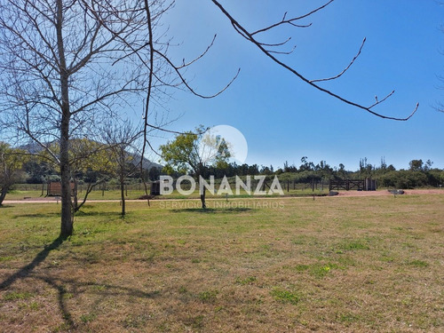 Imagen 2 de 9 de Tierra Calma. Piriápolis. Terrenos En Venta Financiados.