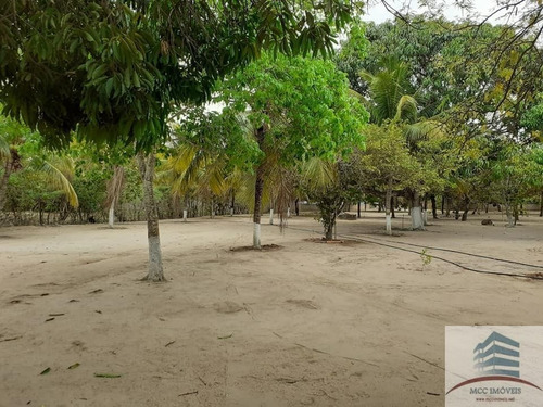 Imagem 13 de 25 de Granja A Venda Em Macaíba