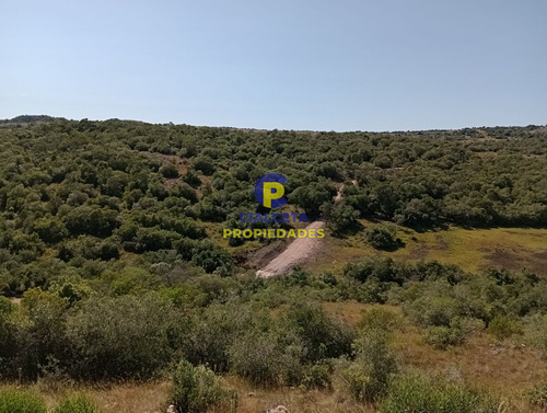 Imagen 4 de 14 de 5 Hectáreas, Entrega 12.000 Dólares