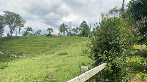 Imagem 26 de 27 de L38- Lotes Com Segurança E Otimo Valor