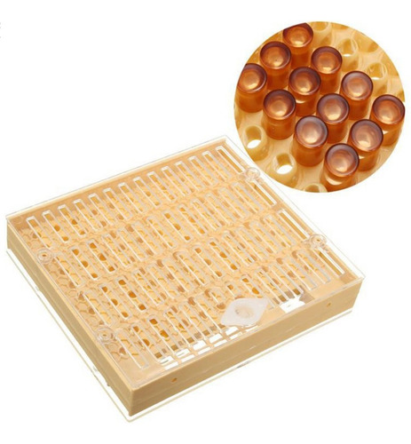 Imagen 3 de 6 de Kit De Equipo Apicultura Caja Jaula De Abeja Reina Casa De