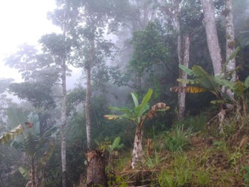 Imagen 3 de 6 de Terreno San José De Los Altos La Osi 1239 M2
