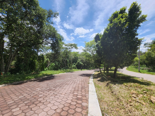 Venta Lote San Diego 54 Mz Xvi Muy Cerca De La Entrada Y De Las Amenidades Del Fracc Rancho San Diego Ixtapan De La Sal Edomex