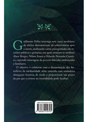 Vida Após A Vida