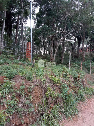 Imagem 19 de 26 de Terreno, Dos Neves (caucaia Do Alto), Cotia - R$ 210 Mil, Cod: 4254 - V4254