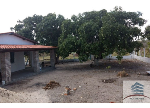Imagem 2 de 9 de Granja A Venda Em Monte Alegre
