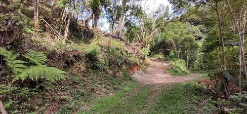 Imagem 11 de 14 de Juquitiba Terreno P Construir/platô/limpo/5000 Mts Ref 05137