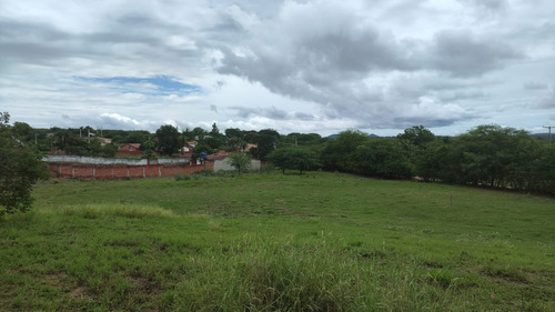 Propriedade Rural Próxima A Cidade Em Senhor Do Bonfim - Ba
