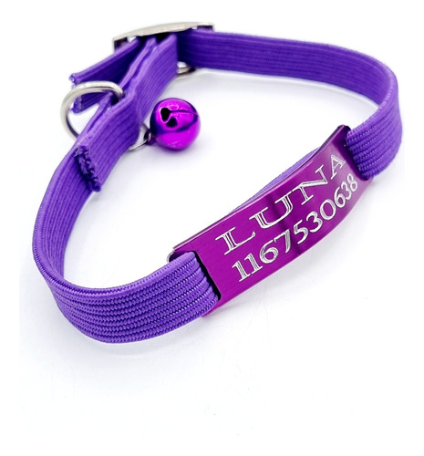 Chapita Gato Color Violeta Pasador + Collar 1 Cm Elastizado