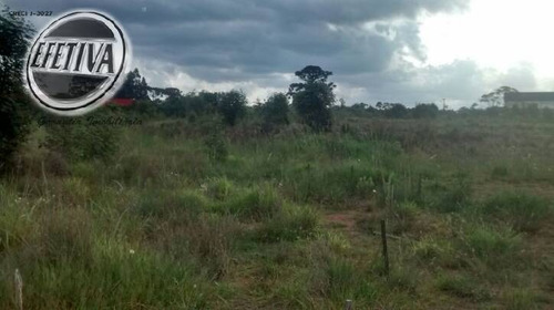Área Industrial 26.472m² - Bairro Costeira - São José Dos Pinhais - Pr - 968t