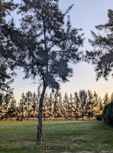 Venta De Lote En Barrio Lagos Del Norte Dontorcuato (tigre) Con Vista A La Laguna!!no Te Lo Pierdas!! Consultar Por Otro Disponible