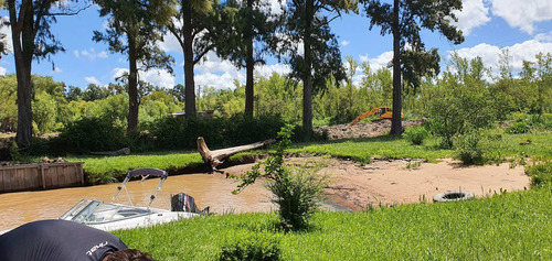 Imagen 3 de 7 de Terreno En Venta Delta Tigre Sobre Paraná De Las Palmas