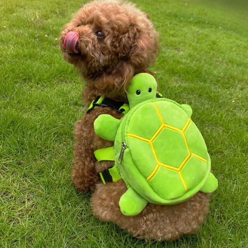 Chaleco De Arnés Para Mascotas Para Perros Pequeños Verde