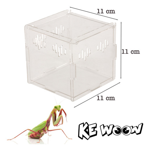 Ke Woow Nano Terrario Acrilico 11 X 11x 11 Cm 1.1 L Criadero