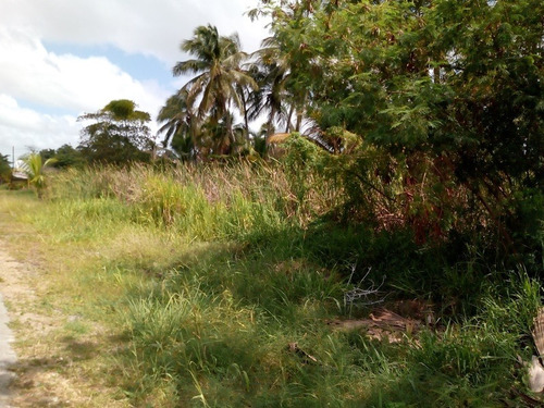 Imagen 3 de 8 de Terreno En Venta Carretera Nacional Moron-coro, (frente A Coco Market) Andrews Rivero 0412495988