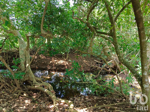 Venta Terreno 0 Ambiente Dos De Abril (montepío Chiquito)